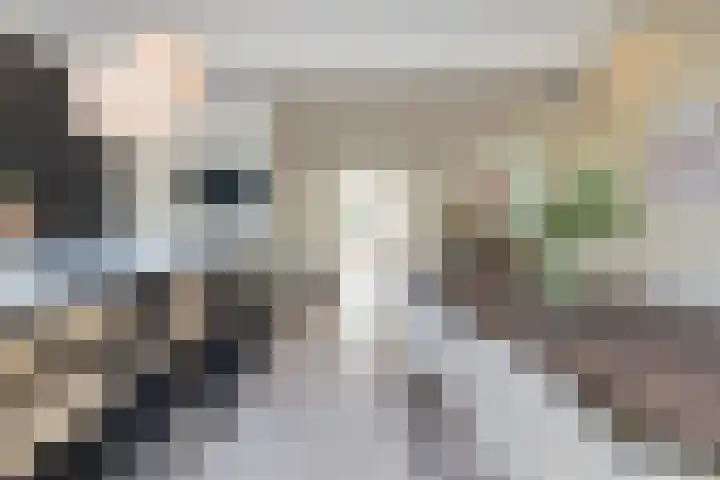 Spaargarenstraat 31 Oegstgeest thumbnail 20