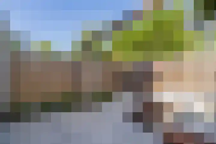 Spaargarenstraat 31 Oegstgeest thumbnail 25
