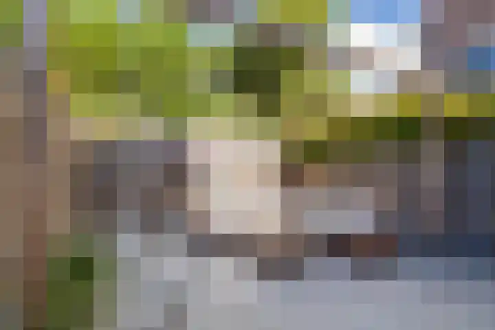 Spaargarenstraat 31 Oegstgeest thumbnail 26
