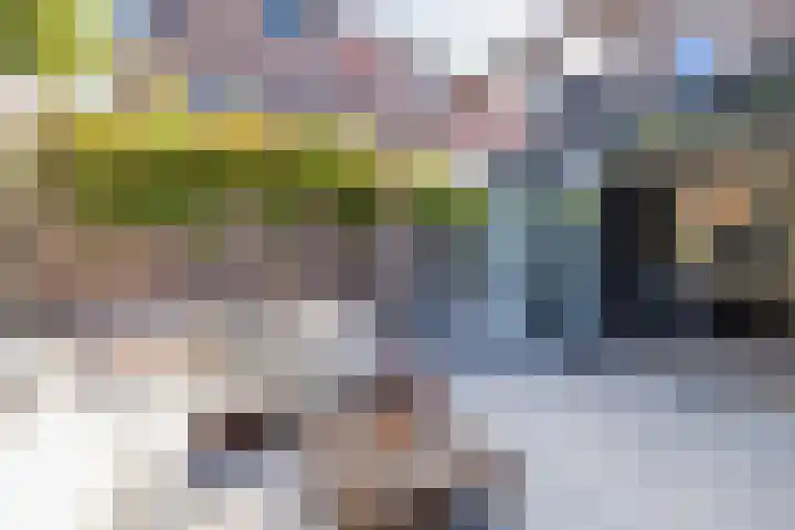 Spaargarenstraat 31 Oegstgeest thumbnail 27