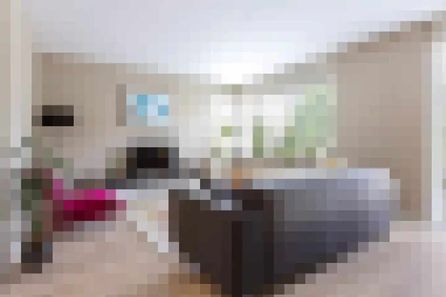 Spaarlân 6 Kimswerd thumbnail 12