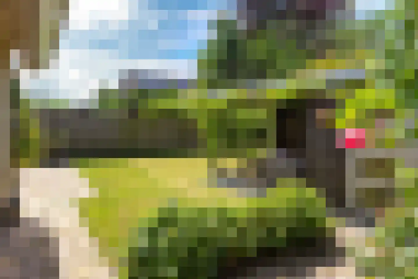 Spaarlân 6 Kimswerd thumbnail 24