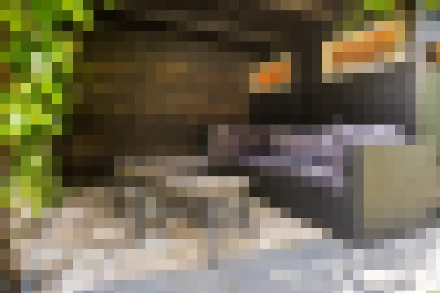 Spaarlân 6 Kimswerd thumbnail 25