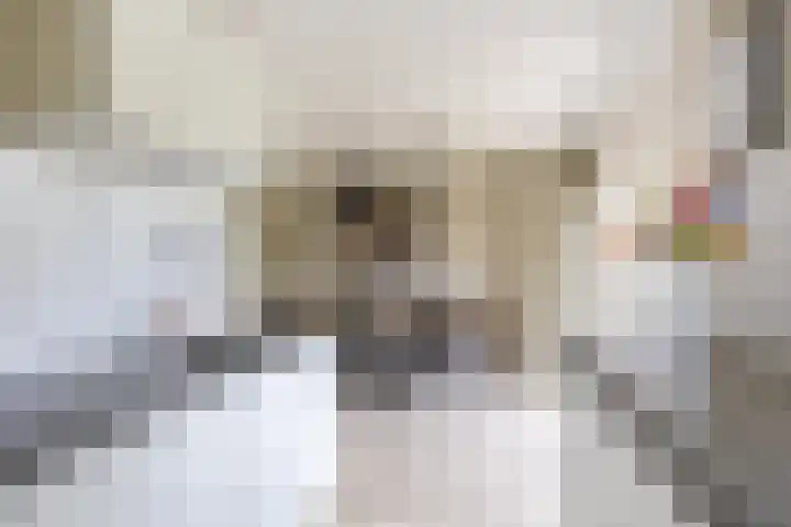 Spaarlân 6 Kimswerd thumbnail 25