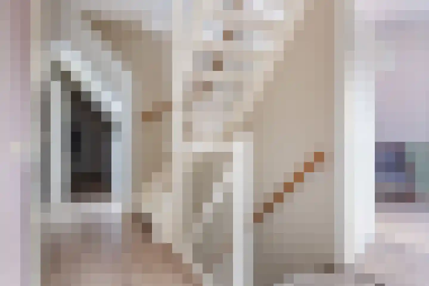 Spaarlân 6 Kimswerd thumbnail 26