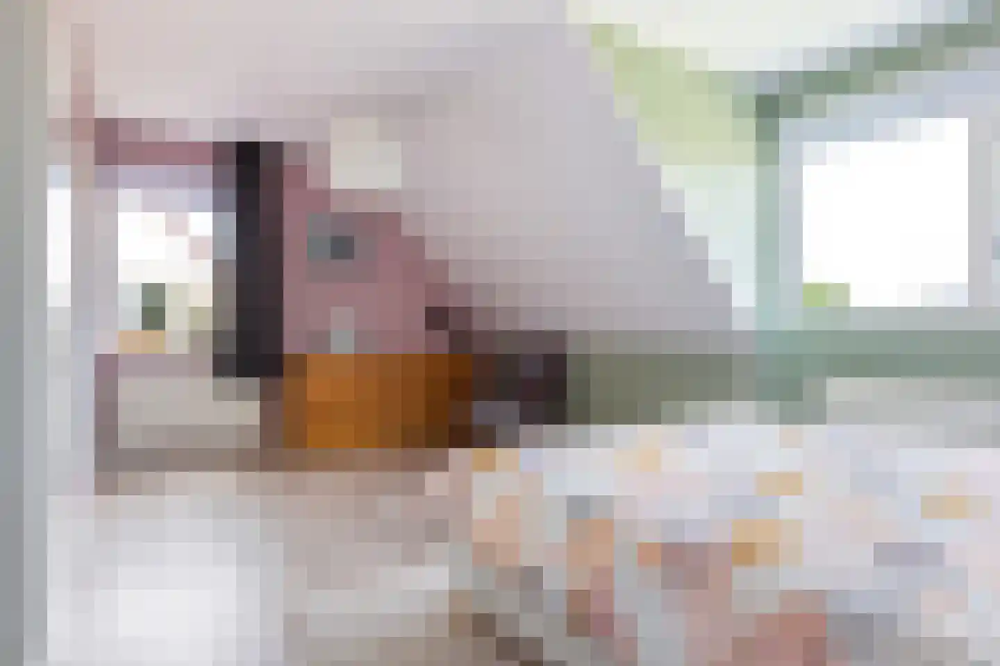 Spaarlân 6 Kimswerd thumbnail 28