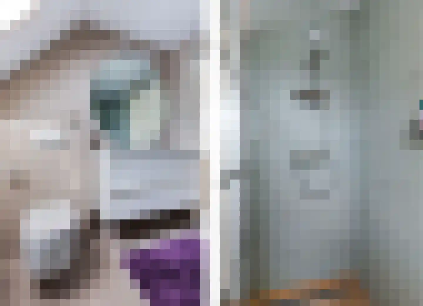 Spaarlân 6 Kimswerd thumbnail 36