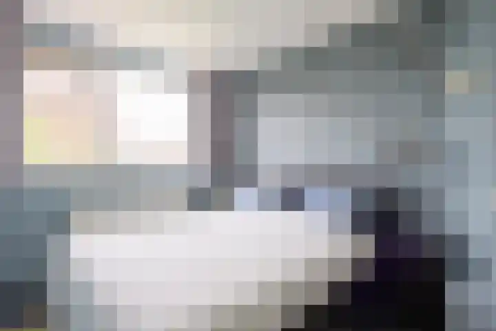 Spaarlân 6 Kimswerd thumbnail 43