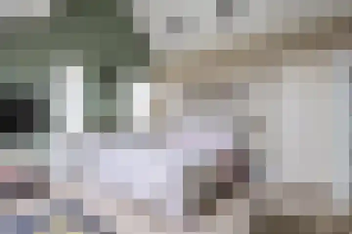 Spaarlân 6 Kimswerd thumbnail 52