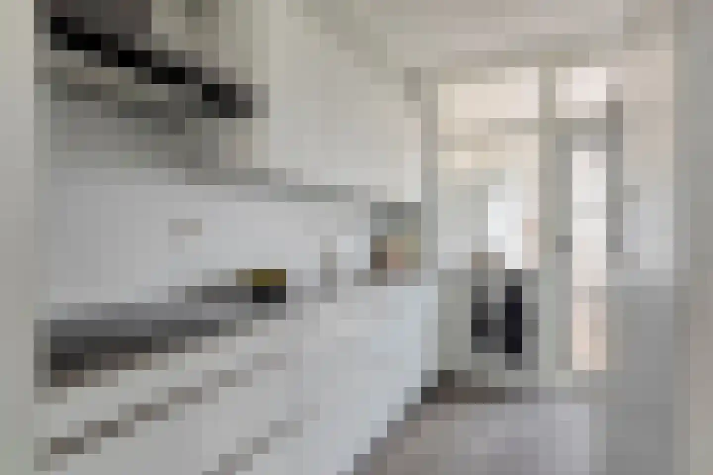 Spaarlingsstraat 21 Kapelle thumbnail 14