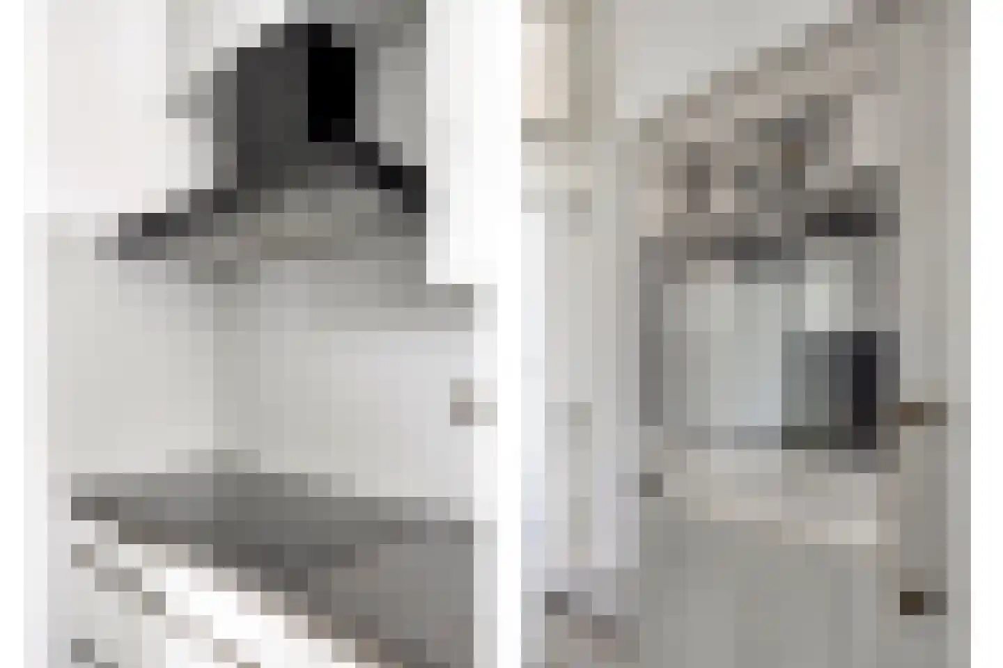 Spaarlingsstraat 21 Kapelle thumbnail 16