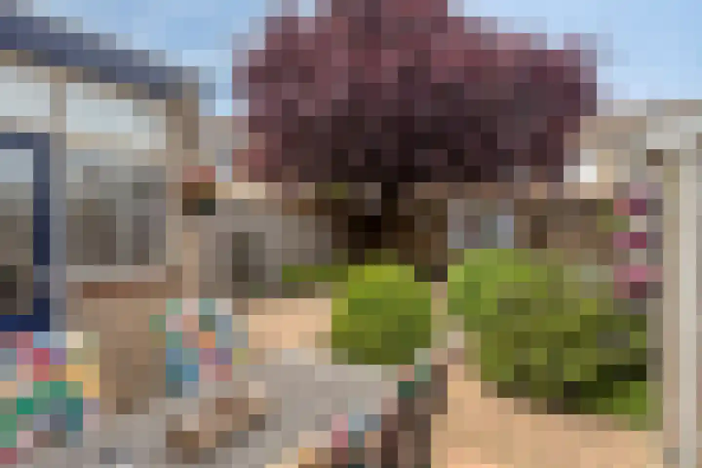 Spaarlingsstraat 21 Kapelle thumbnail 37