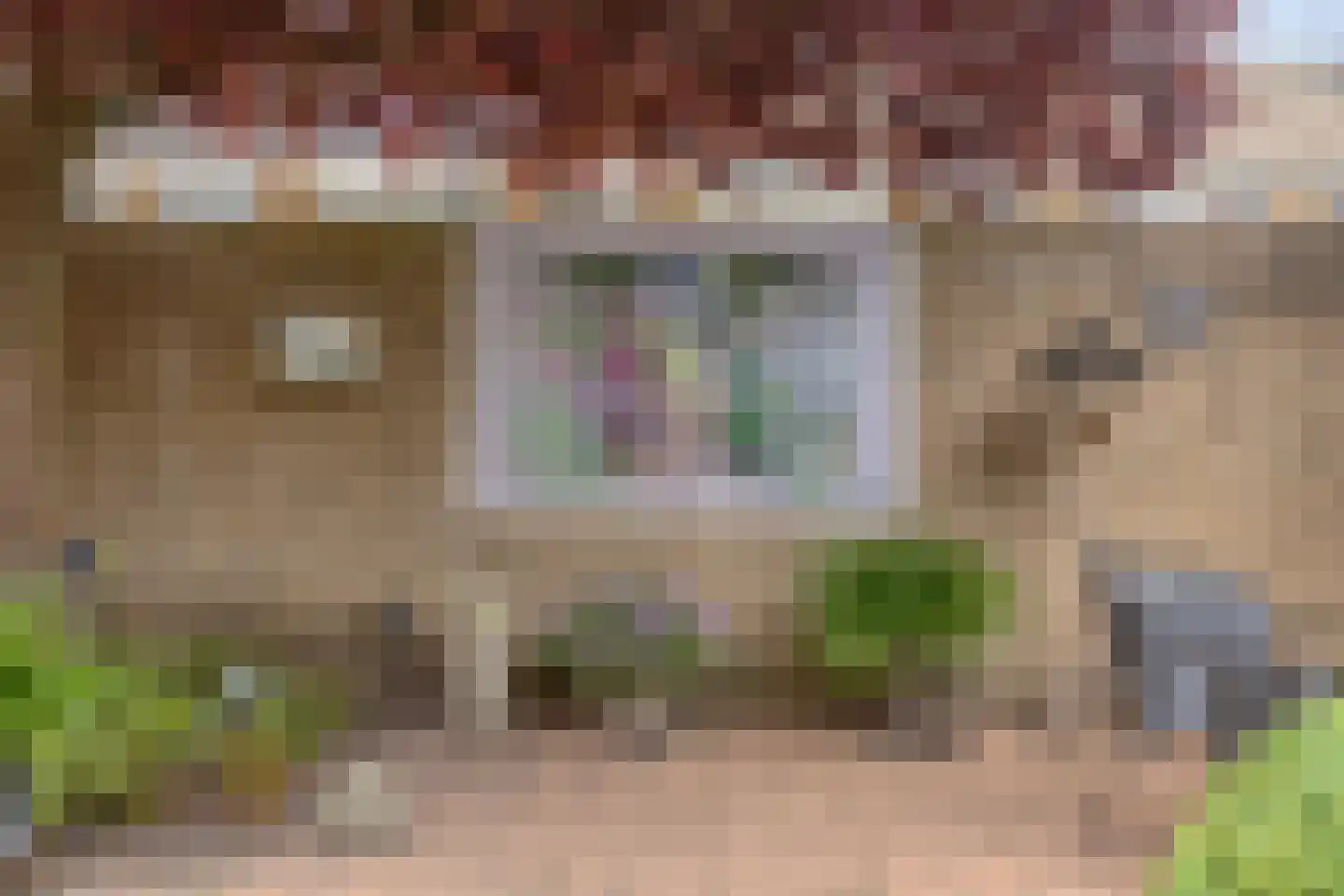 Spaarlingsstraat 21 Kapelle thumbnail 39