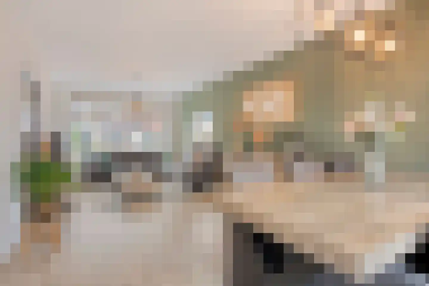 Spaarlingsstraat 9 Kapelle thumbnail 18