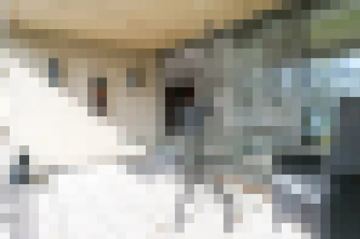 Spaarnberglaan 17 Santpoort-Noord thumbnail 27