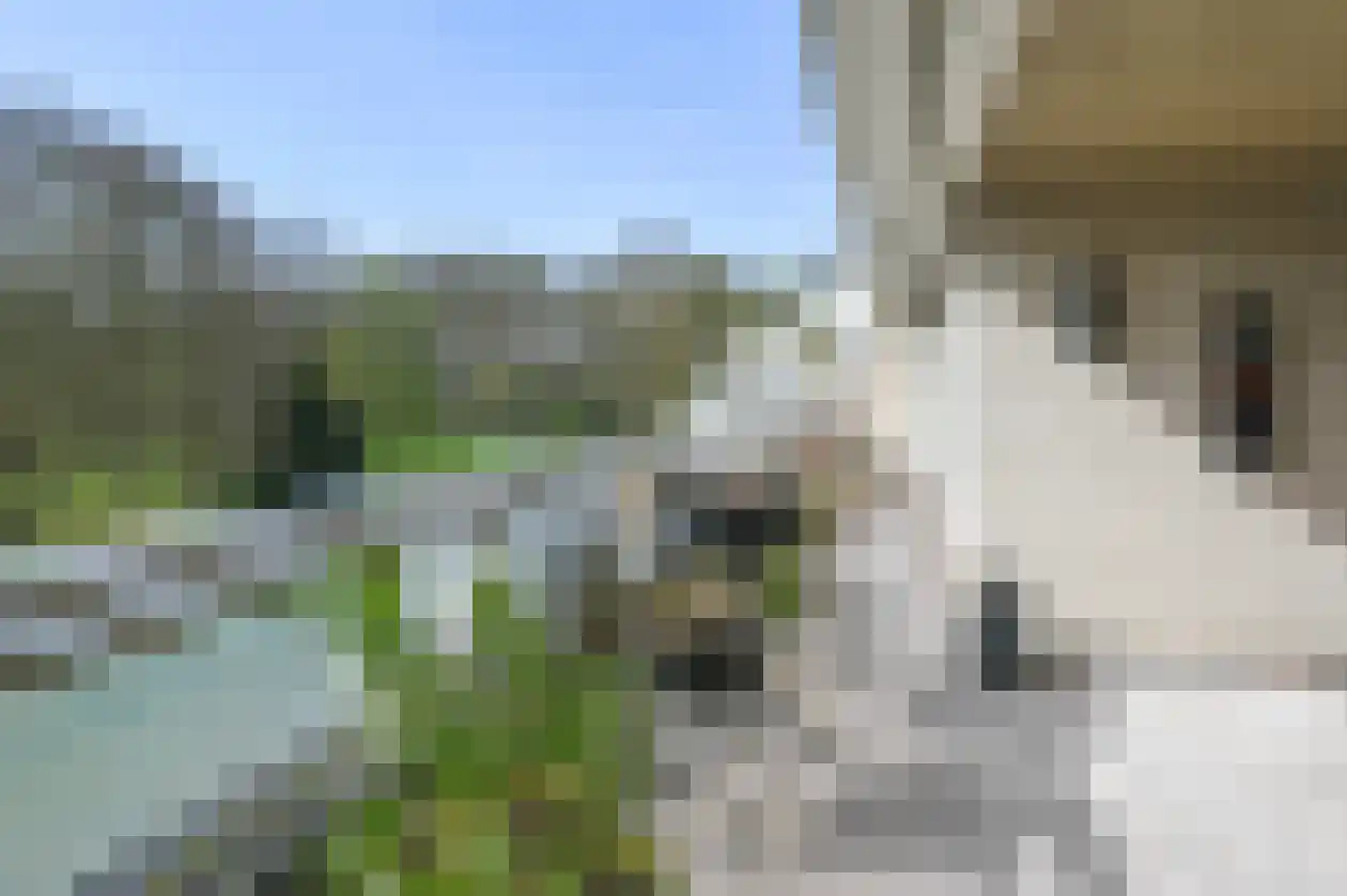 Spaarnberglaan 17 Santpoort-Noord thumbnail 28