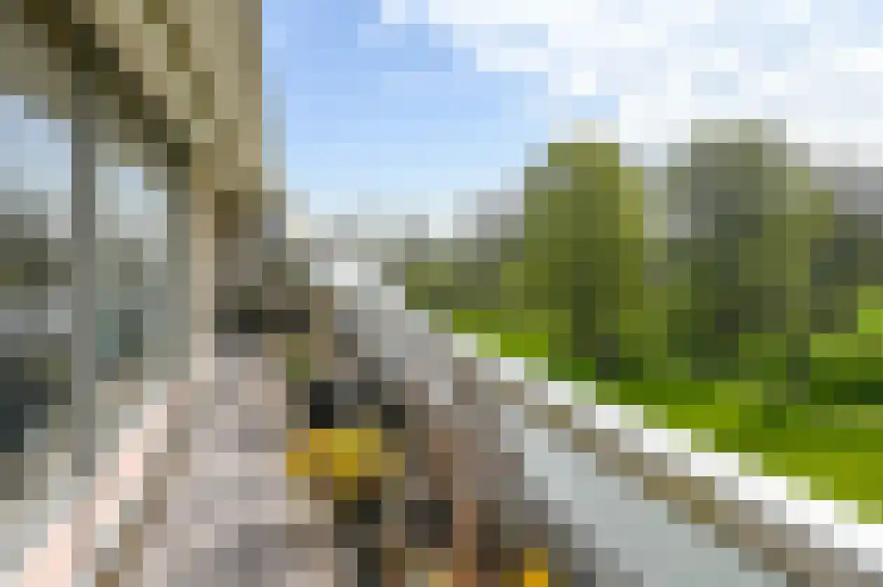 Spaarnberglaan 17 Santpoort-Noord thumbnail 30