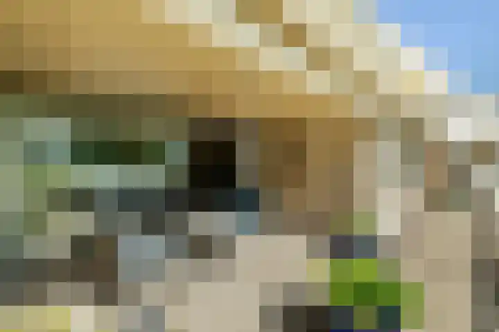 Spaarnberglaan 2 Santpoort-Noord thumbnail 19
