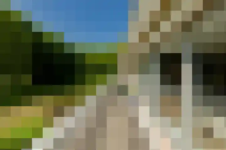 Spaarnberglaan 2 Santpoort-Noord thumbnail 22