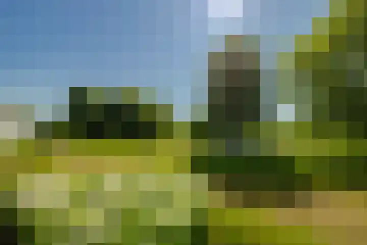 Spaarnberglaan 2 Santpoort-Noord thumbnail 25