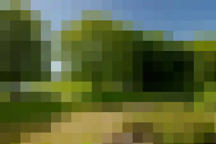 Spaarnberglaan 2 Santpoort-Noord thumbnail 26