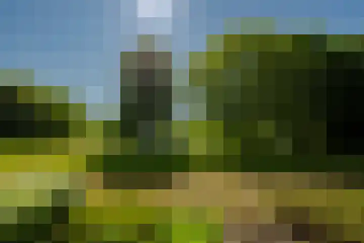 Spaarnberglaan 2 Santpoort-Noord thumbnail 27