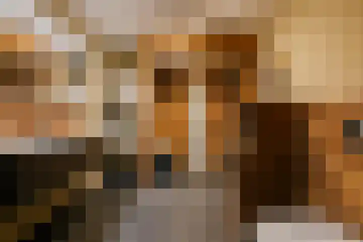 Spaarnberglaan 2 Santpoort-Noord thumbnail 31