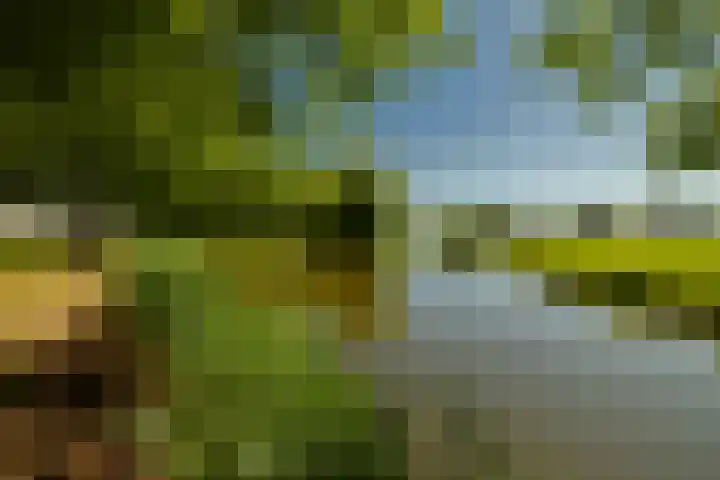 Spaarnberglaan 2 Santpoort-Noord thumbnail 45