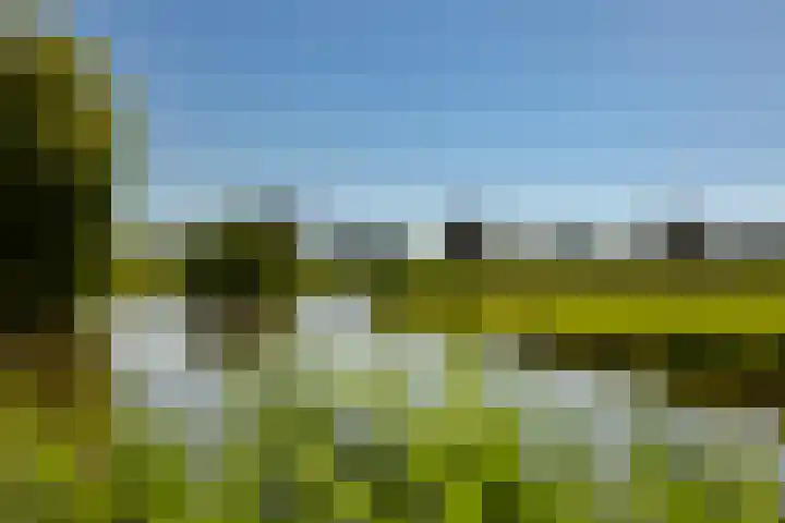 Spaarnberglaan 2 Santpoort-Noord thumbnail 46