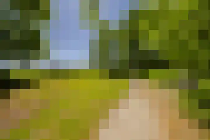 Spaarnberglaan 2 Santpoort-Noord thumbnail 47