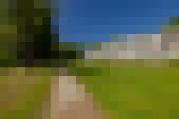 Spaarnberglaan 2 Santpoort-Noord thumbnail 48