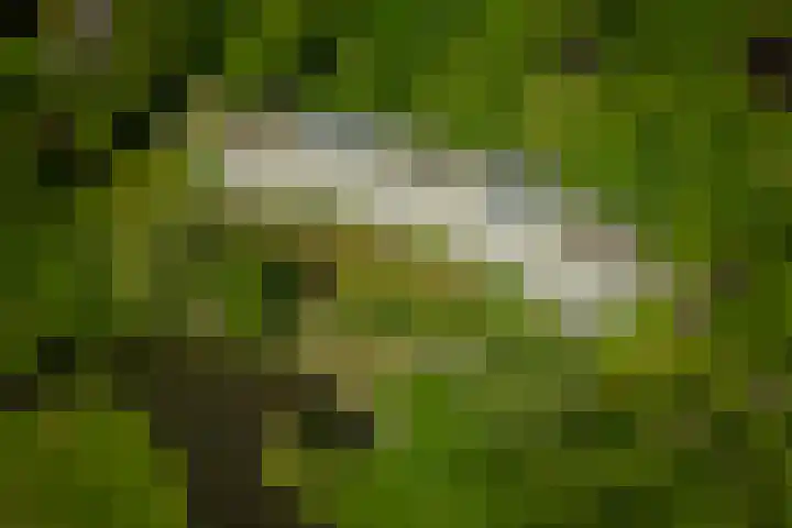 Spaarnberglaan 2 Santpoort-Noord thumbnail 49