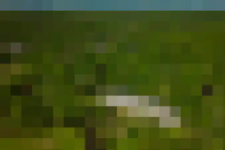 Spaarnberglaan 2 Santpoort-Noord thumbnail 50