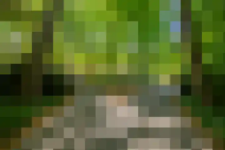 Spaarnberglaan 2 Santpoort-Noord thumbnail 52