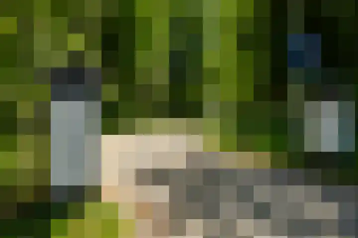Spaarnberglaan 2 Santpoort-Noord thumbnail 53