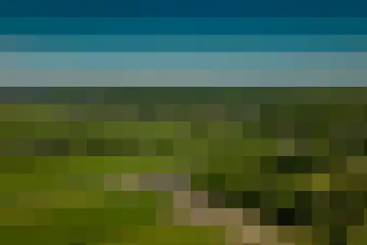 Spaarnberglaan 2 Santpoort-Noord thumbnail 55