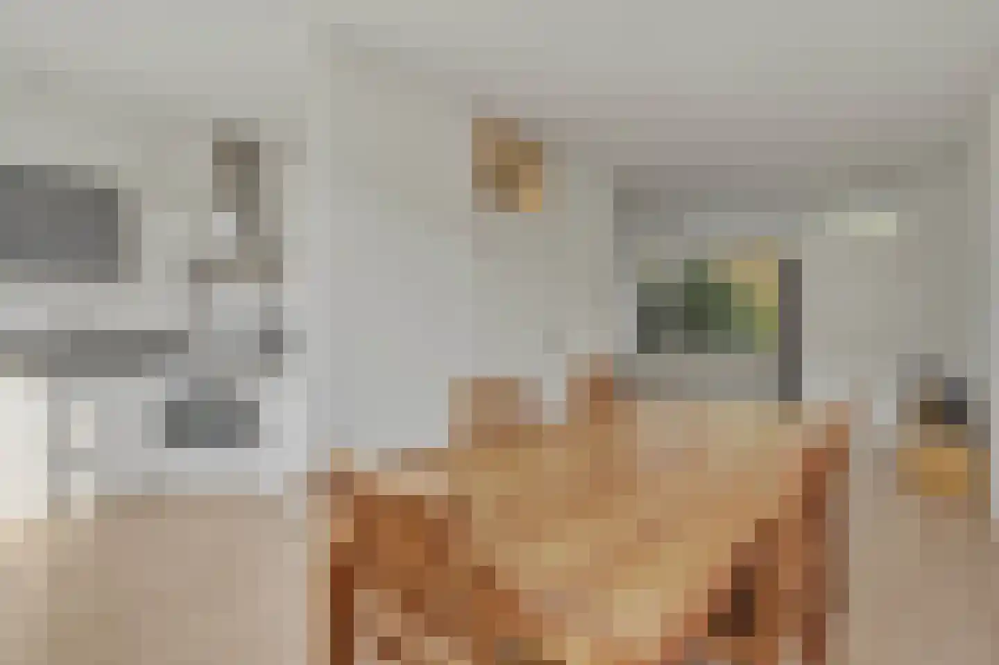 Spaarndamhof 17 Arnhem thumbnail 11