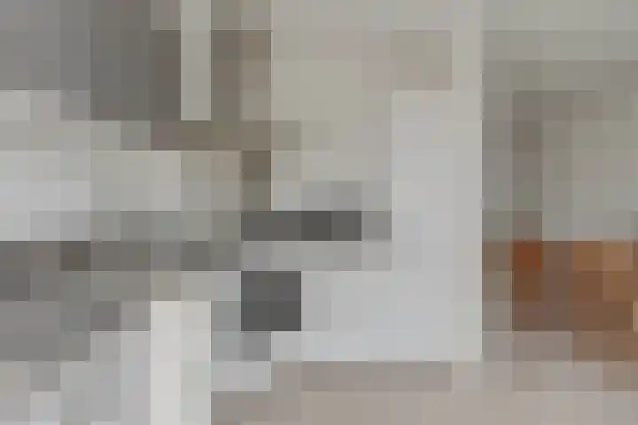 Spaarndamhof 17 Arnhem thumbnail 11