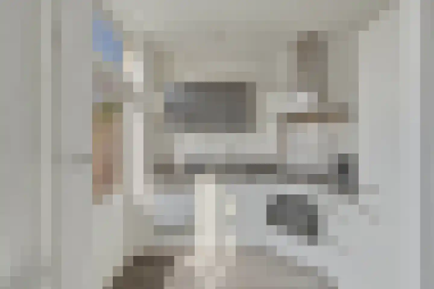 Spaarndamhof 17 Arnhem thumbnail 12