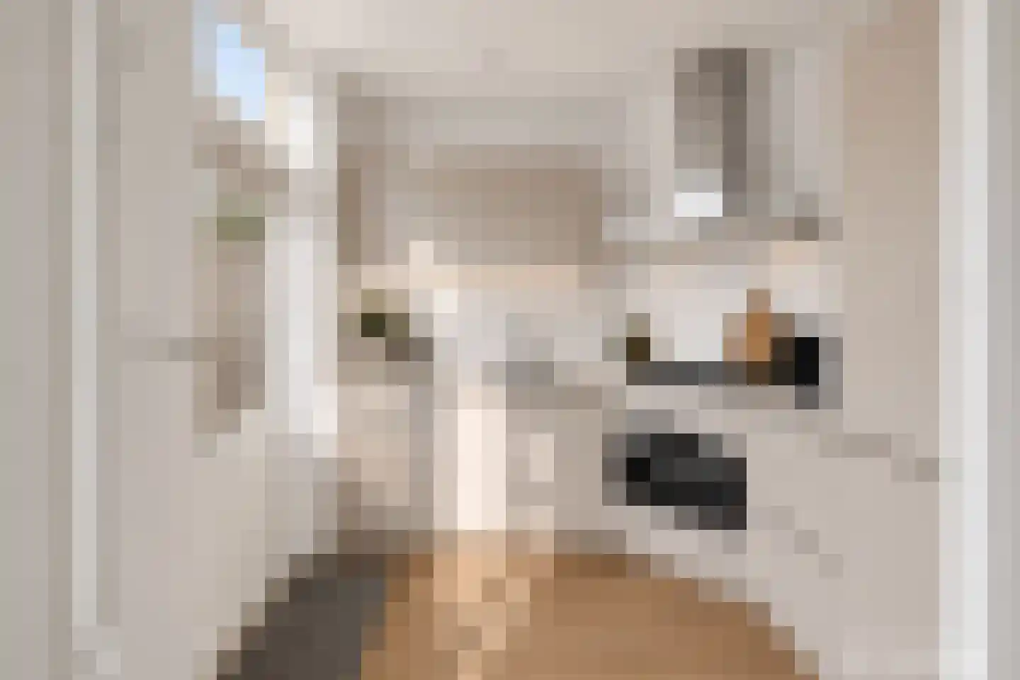 Spaarndamhof 17 Arnhem thumbnail 13