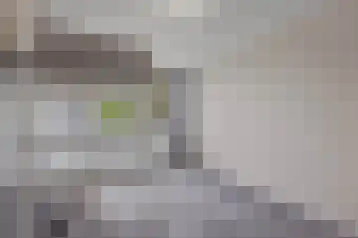 Spaarndamhof 17 Arnhem thumbnail 19