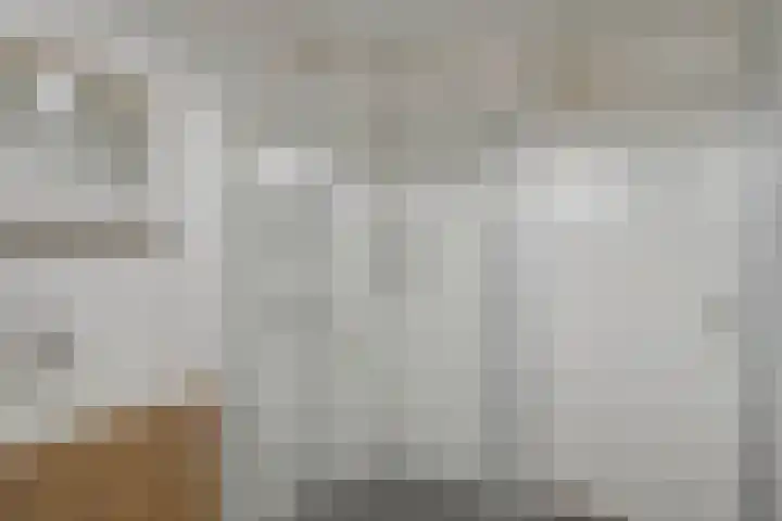 Spaarndamhof 17 Arnhem thumbnail 25