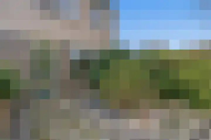 Spaarndamhof 17 Arnhem thumbnail 37