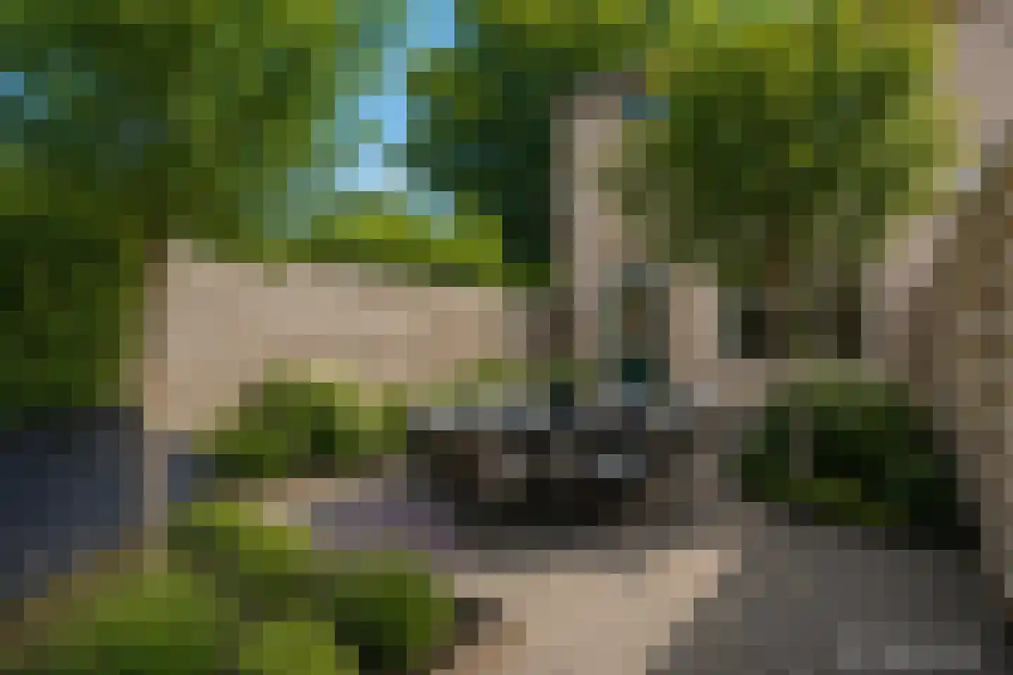 Spaarndamhof 17 Arnhem thumbnail 37