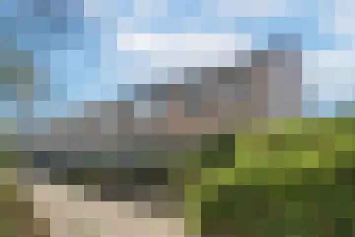 Spaarndamhof 17 Arnhem thumbnail 38