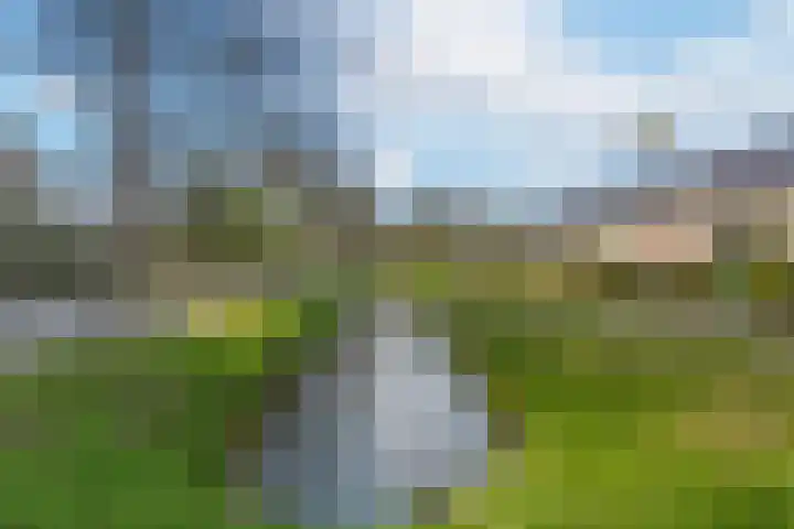 Spaarndamhof 17 Arnhem thumbnail 42