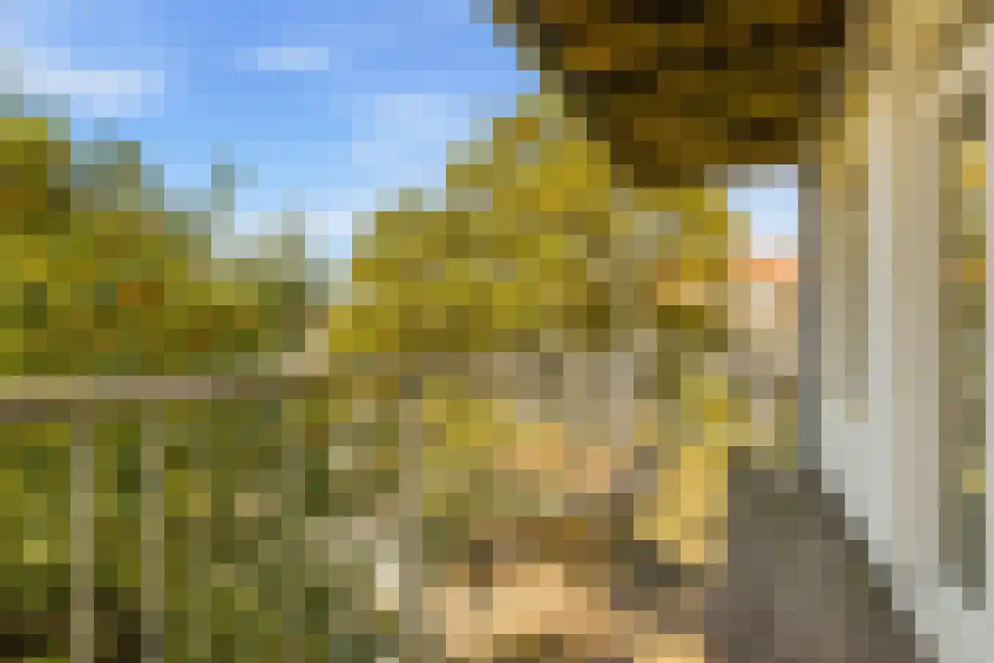 Spaarndammerdijk 15 D Amsterdam thumbnail 18