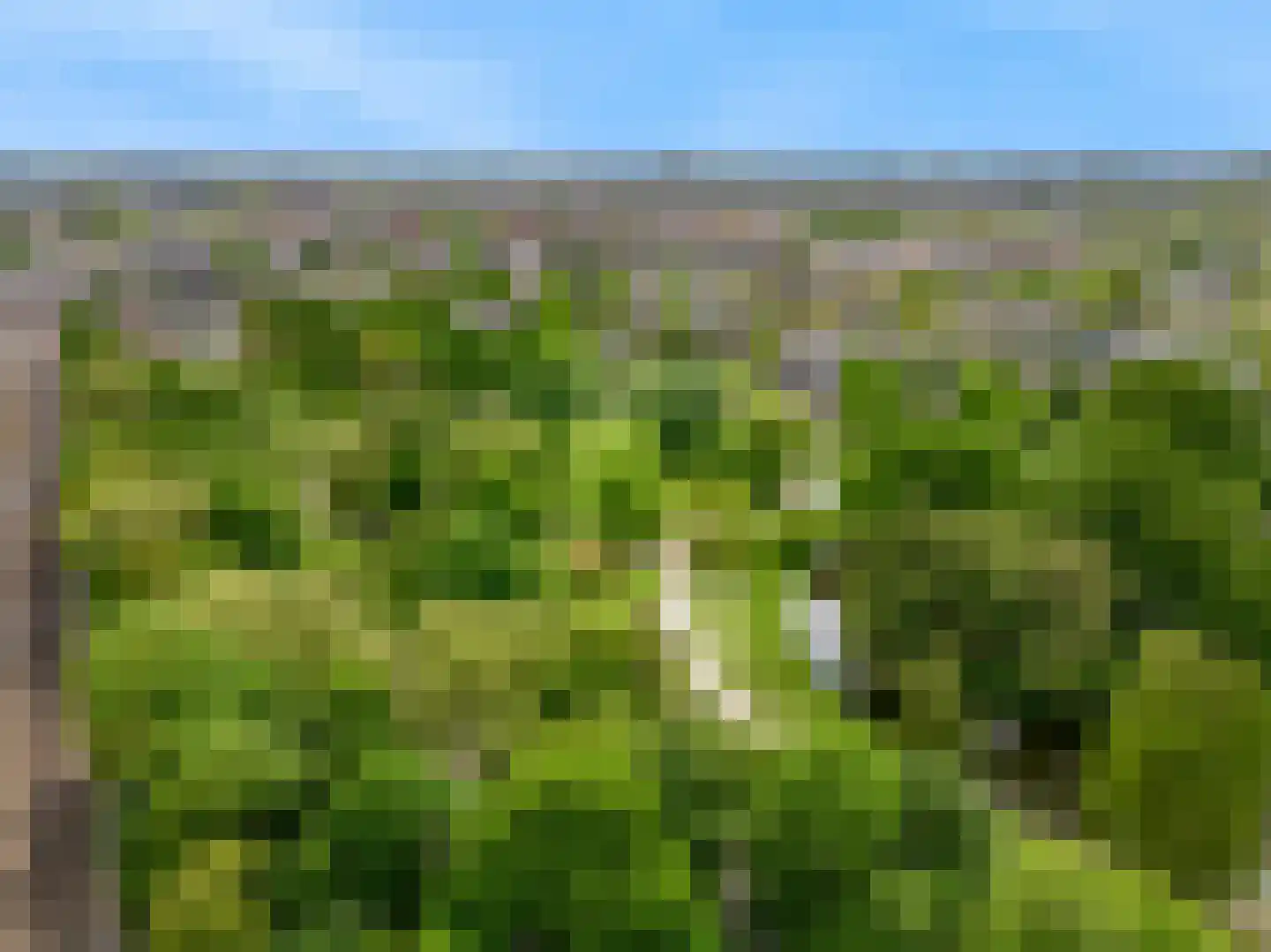 Spaarndammerdijk 15 D Amsterdam thumbnail 25