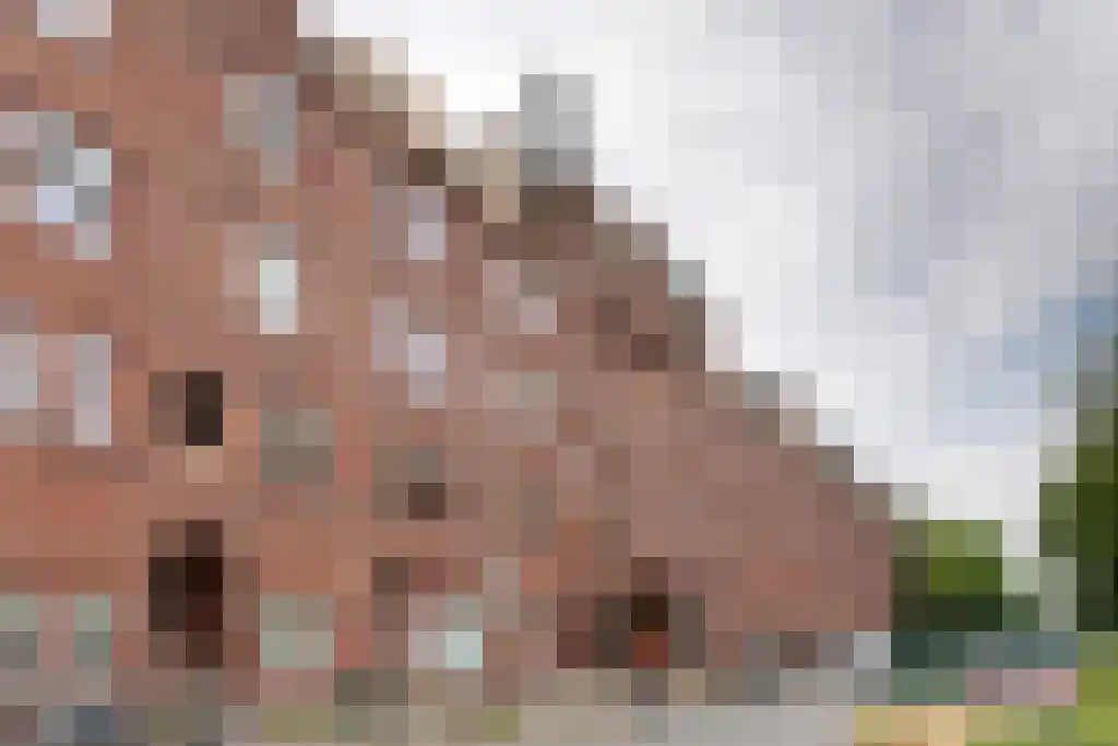 Spaarndammerdijk 267 Amsterdam thumbnail 18