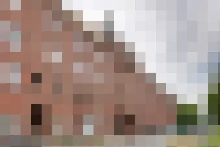 Spaarndammerdijk 267 Amsterdam thumbnail 18